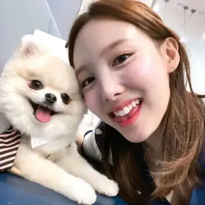 杨子墨